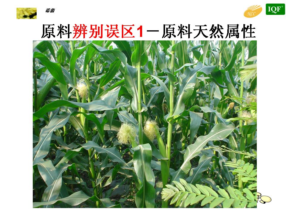 有效防控疾病成就健康生態(tài)養(yǎng)殖